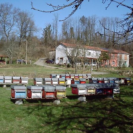 Agriturismo Ca Rossano Villa Licciana Nardi Eksteriør billede