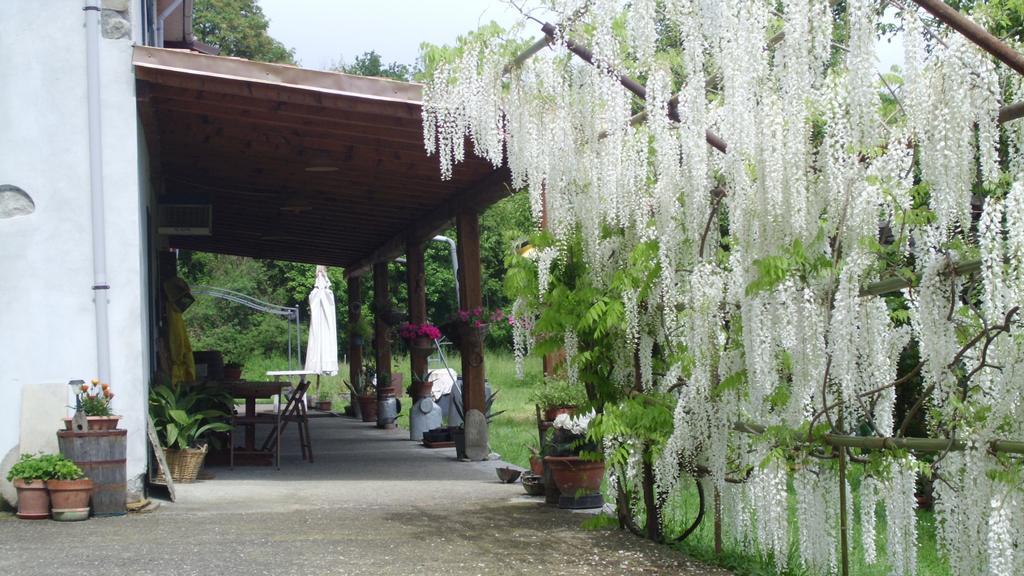 Agriturismo Ca Rossano Villa Licciana Nardi Eksteriør billede