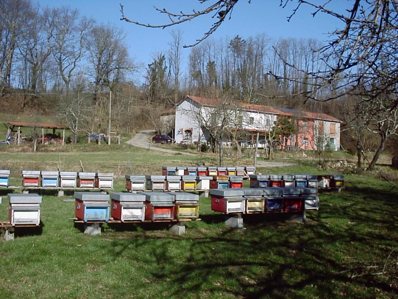 Agriturismo Ca Rossano Villa Licciana Nardi Eksteriør billede